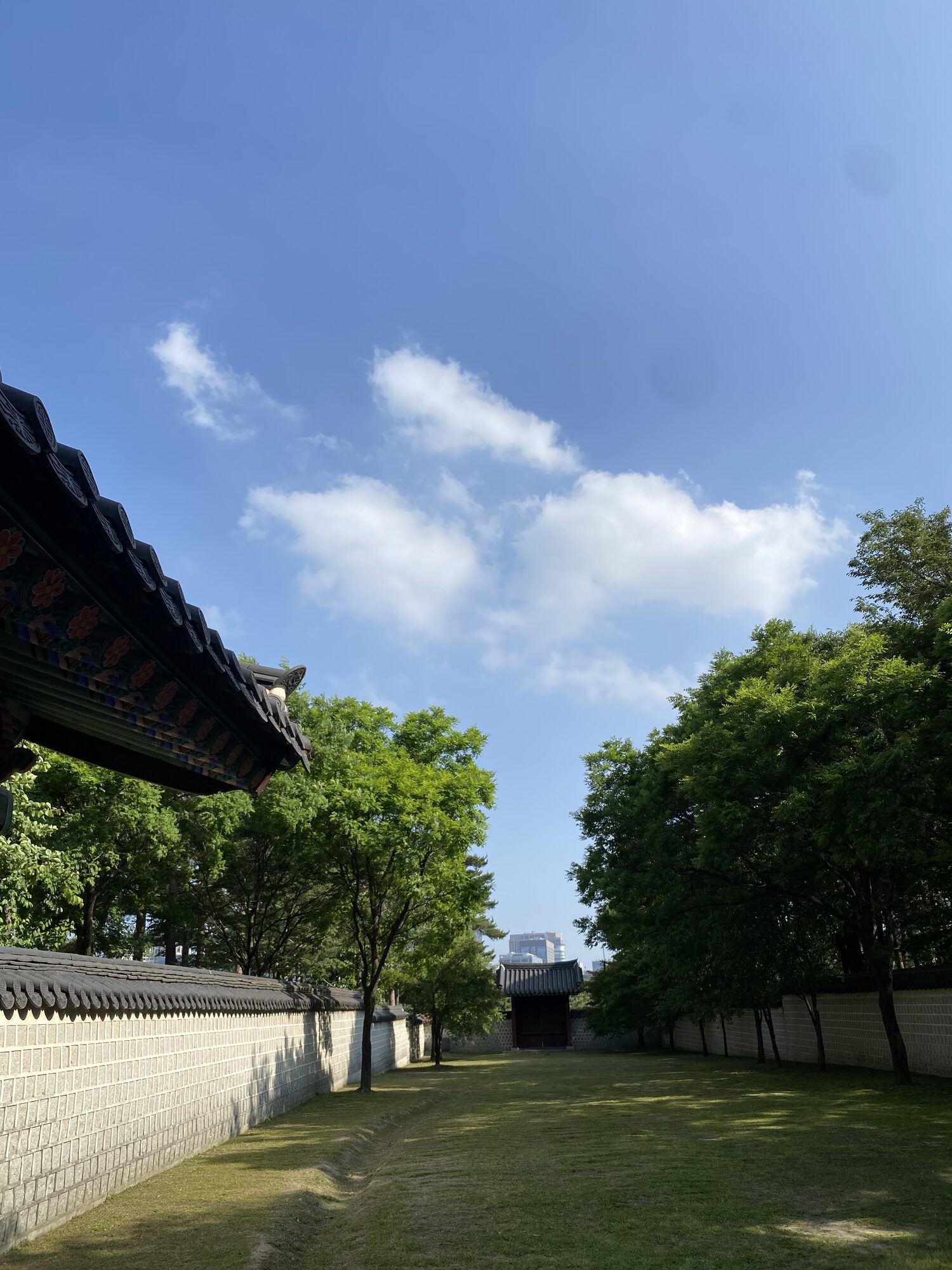 Along the palace wall